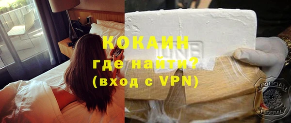 стаф Касимов