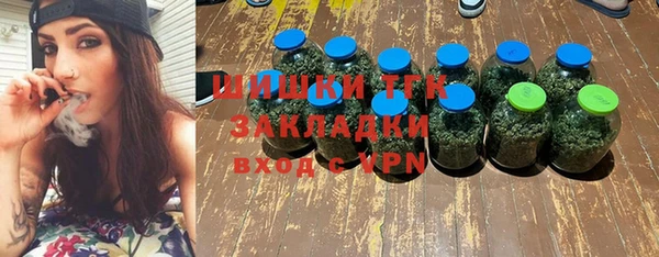гидра Карпинск
