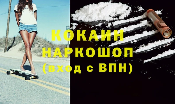 стаф Касимов