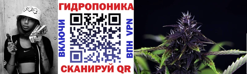 Бошки Шишки OG Kush Вытегра